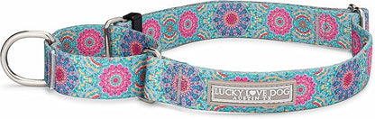 Lucky Love Dog Martingale Dog Collar - Adjustable, No-Slip, Durable, & Soft Webbing Collar for Male and Female Dogs Ideal for Training & Walking - Clara, Medium