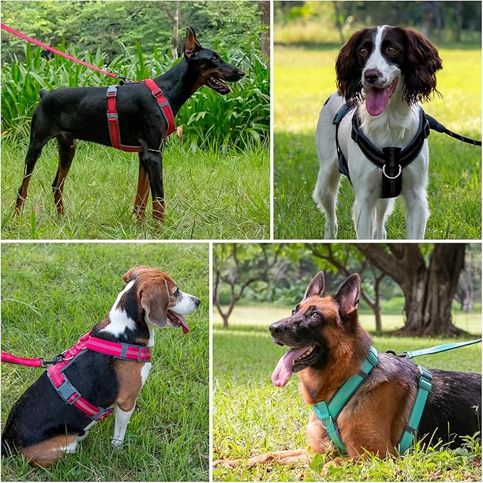 Plutus Pet No Pull Dog Harness, Adjustable Nylon Harness with Soft Padding, Reflective and Heavy Duty Dog Harness for Small, Medium, Large Dogs(Black, S)