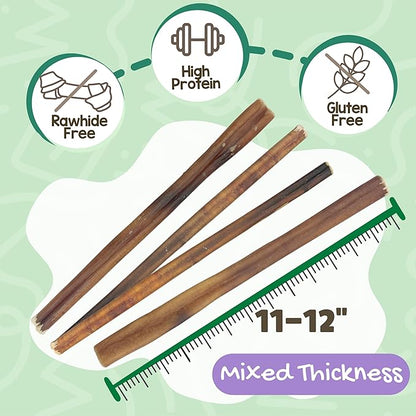 Nature Gnaws Bully Sticks for Dogs 11-12" (8oz) - Mixed Thickness - Long Lasting for Aggressive Chewers and Large Dogs - Natural Beef Dog Chew Bones
