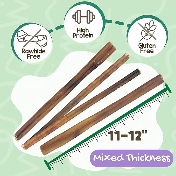 Nature Gnaws Bully Sticks for Dogs 11-12" (1Lb) - Mixed Thickness - Long Lasting for Aggressive Chewers and Large Dogs - Natural Beef Dog Chew Bones