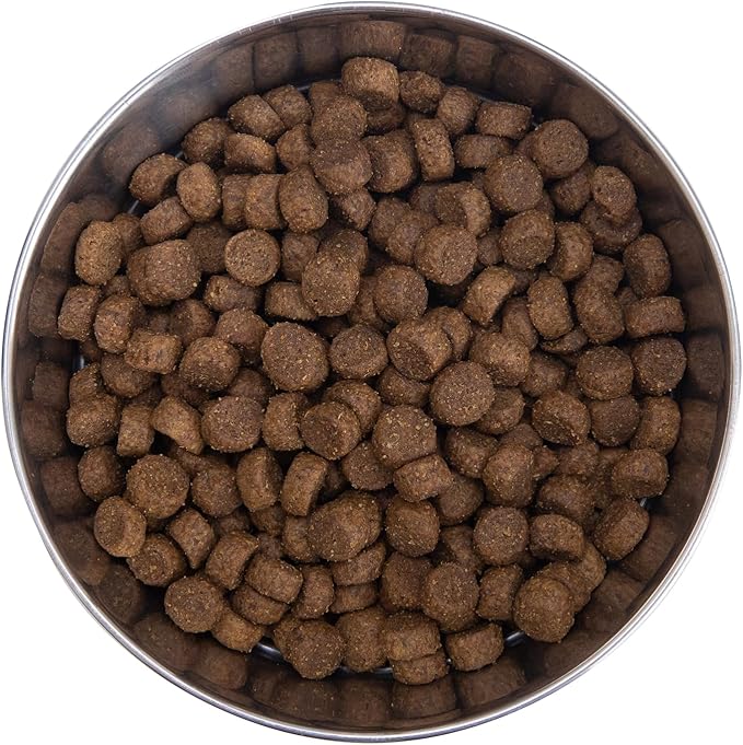 Health Extension Grain Free Chicken & Turkey Dry Dog Food - 30+ Superfoods and Probiotics for All Life Stages (4 lb)