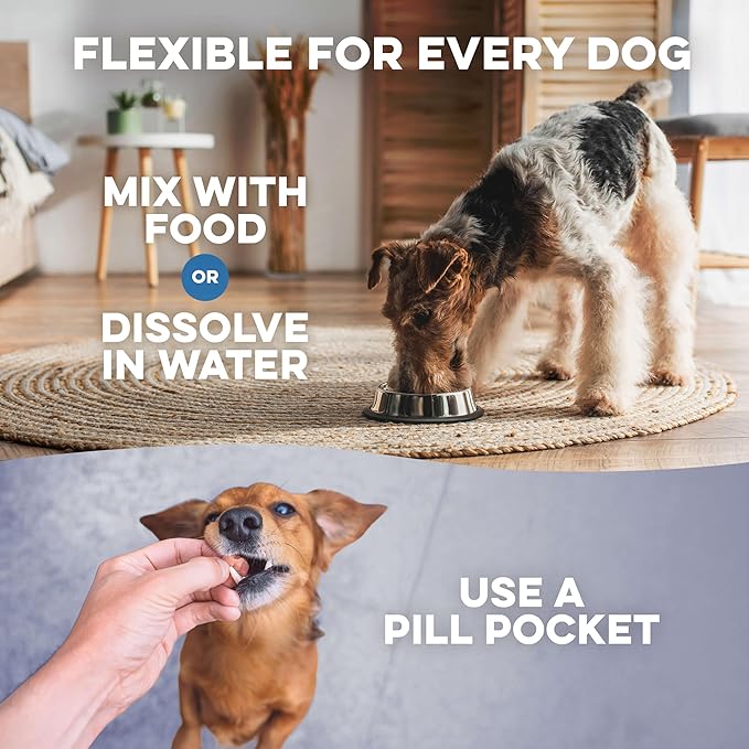 Dog UTI Treatment & Kidney Health Formula – Natural Dog Urinary Tract Supplements to Manage Urine Frequency & Leaks – Bladder Control Support for Urinary Incontinence & Renal Health – 400 Tiny Pills