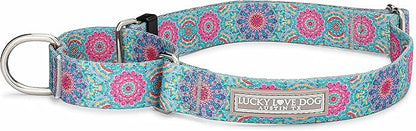 Lucky Love Dog Martingale Dog Collar - Adjustable, No-Slip, Durable, & Soft Webbing Collar for Male and Female Dogs Ideal for Training & Walking - Clara, Large