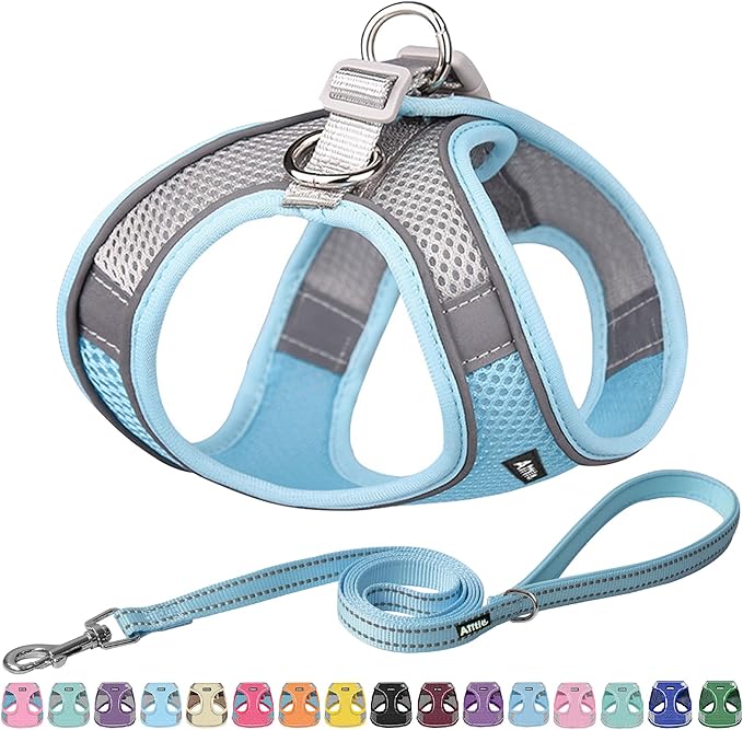AIITLE Easy Walk Dog Harness and Leash Set - Pet Supply No Pull, Step in Adjustable Dog Harness with Padded Vest, Dog Harness No Choke Over, Easy to Put on Medium Dogs Blue L