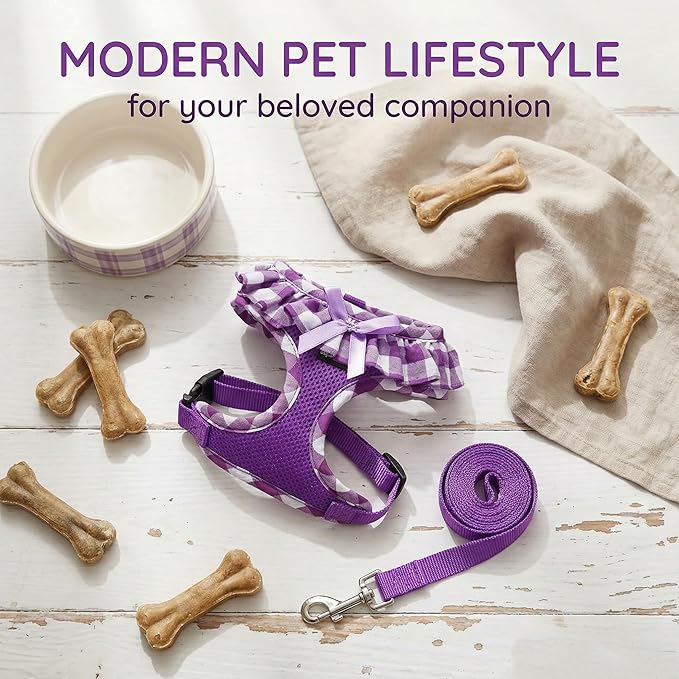 SuperBuddy Upgraded Soft Mesh Dog Harness, Super Breathable Lightweight Pet Harnesses for Puppy Dogs Outdoor Walking, Purple Dog Harness and Dog Leash Set Packing -Medium