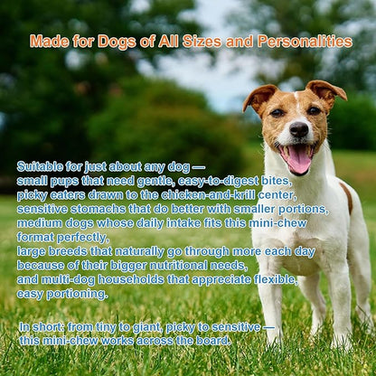 Dog Allergy Relief Chews, Dog Itching Skin Relief, 500 Crunchy Krill Center Seasonal Allergy Anti-Itch Chews, Itchy Ear & Paw Licking, Colostrum, Quercetin & Probiotics for Gut, Immune, Skin & Coat