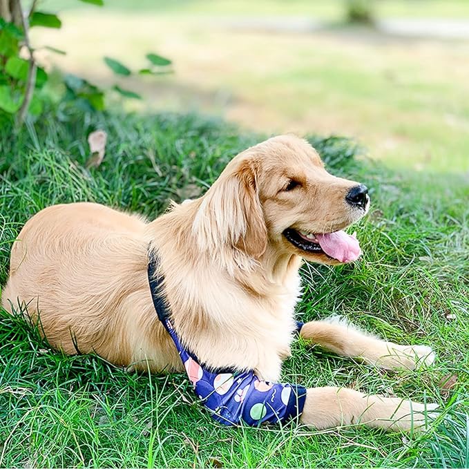 HDKUW Dog Elbow Protector, Dog Front Leg Recovery Sleeve for Prevent Licking Wound, Elbow Sleeves with Mesh Pad for Medium Large Dogs Universe 3XL