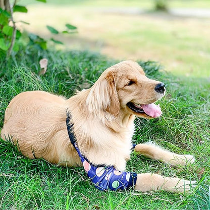 HDKUW Dog Elbow Protector, Dog Front Leg Recovery Sleeve for Prevent Licking Wound, Elbow Sleeves with Mesh Pad for Medium Large Dogs Universe 3XL