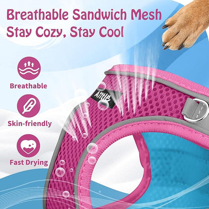 AIITLE Comfortable Dog Harness and Leash Set for Walking - Step in Vest Harness,Reflective Bands, Adjustable No Pull Puppy Essentials, for Small Dogs and House Cats Hot Pink XS