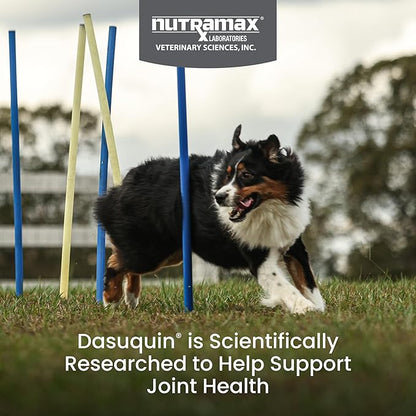 Nutramax Dasuquin for Large Dogs, Joint Health Supplement, Contains Glucosamine for Dogs, Plus Chondroitin, ASU, MSM and More, Supports Healthy Joints, Soft Chews, 84 Count