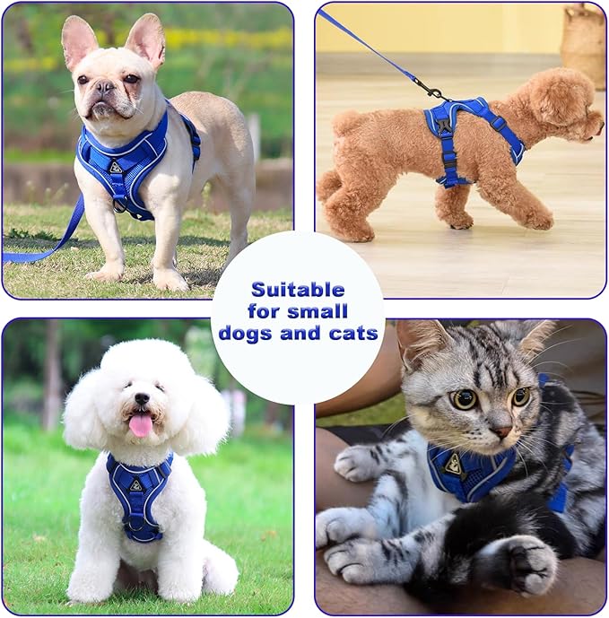 SOLMOONY Small Dog Harness,Soft Mesh Puppy Harness and Leash Set,No Escape Cat Harnesses for Training Walking,Reflective Adjustable Puppy Vest for Small Medium Dogs, Cats (Navy Blue, L)