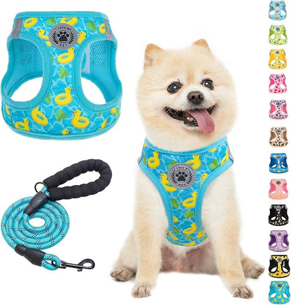 BEAUTYZOO Small Dog Harness and Leash Set,Step in No Choke No Pull Soft Mesh Dog Harnesses Reflective for Extra-Small/Small Medium Puppy Dogs and Cats,BlueDuck M