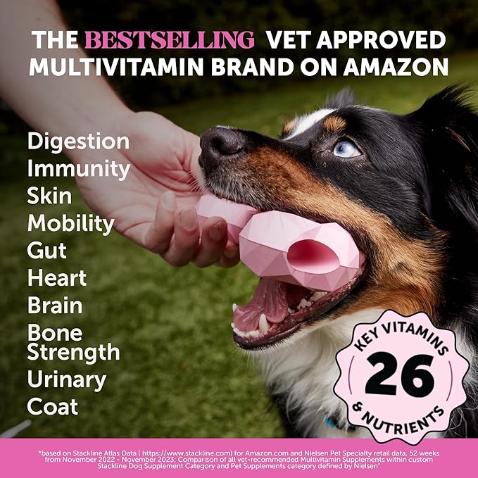 10-in-1 Dog Multivitamin Supplement with Glucosamine & Probiotics - Hip & Joint Support, Digestive Health, Immune Support, Heart & Skin - All-in-One Daily Vitamins & Omega-3s (Peanut Butter, 90 ct)