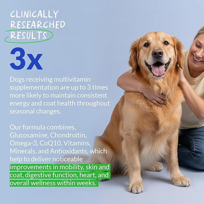 Multivitamin for Dogs - 120 Chewable Tablets with Glucosamine and Chondroitin - Fish Oil & Vitamins with Coq10 for Skin & Heart Health, Gut & Immune Support