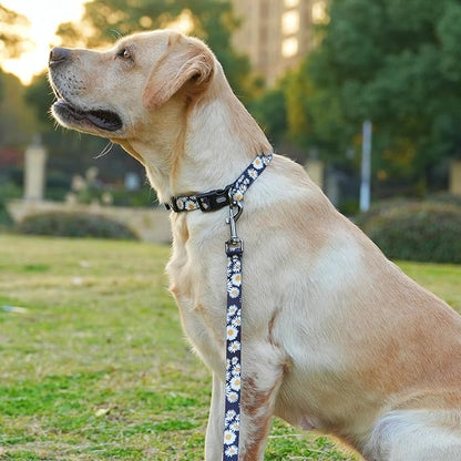 Dog Collar and Leash Set, Cute Daisy Pattern, Polyester Material, 5ft Leash, for Puppy Dogs.(Extra Small,Black Daisy)