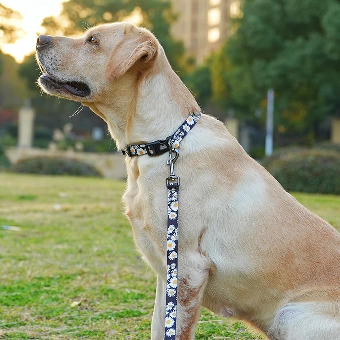 Dog Collar and Leash Set, Cute Daisy Pattern, Polyester Material, 5ft Leash, for Small Dogs.(Small,Black Daisy)