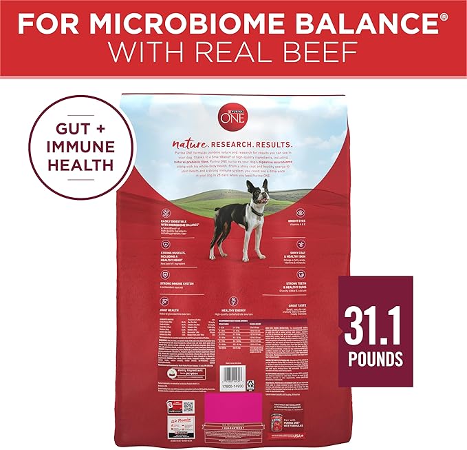 Purina ONE Small Bites Beef and Rice Formula Small High Protein Dry Dog Food Natural With Added Vitamins, Minerals and Nutrients - 31.1 lb. Bag