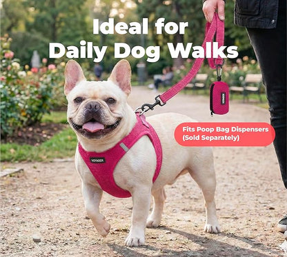 Best Pet Supplies Voyager Reflective Dog Leash or Collar with Neoprene Handle, for Small, Medium, and Large Breed Puppies, Cute and Heavy Duty for Walking, Running and Training - Fuchsia (Leash), M