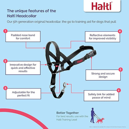 Halti Headcollar - Stop Your Dog Pulling on The Leash. Adjustable, Reflective and Lightweight, with Padded Nose Band. Dog Training Anti-Pull Collar for Medium Dogs (Size 3, Burnt Orange)