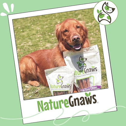 Nature Gnaws Large Bully Sticks for Dogs 11-12" (10 Count) - Thick Long Lasting for Aggressive Chewers and Large Dogs - Natural Beef Dog Chew Bones