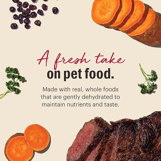 The Honest Kitchen Human Grade Wholemade™ Dehydrated Dog Food, Grain Free Dog Food, Beef, 4 lb (makes 16lbs)