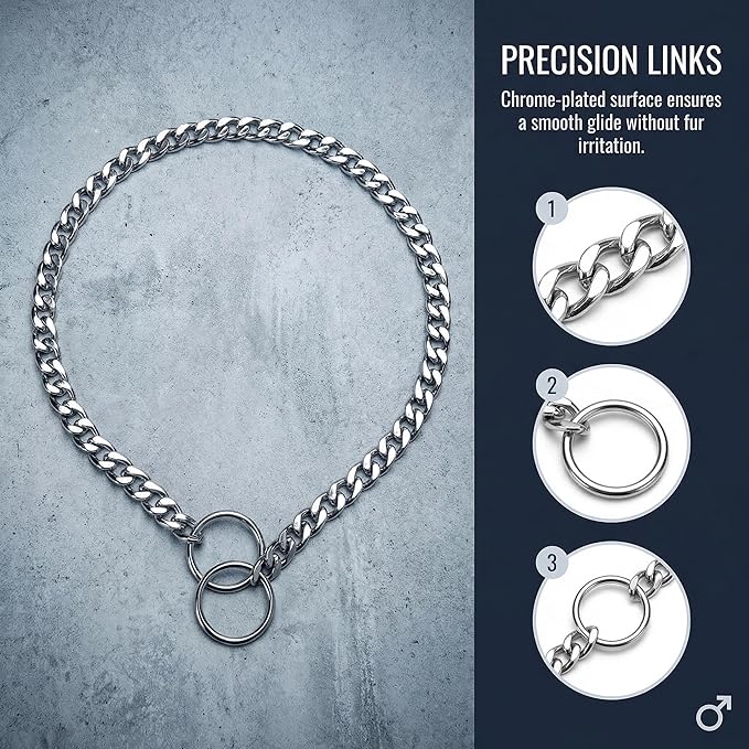 Dog Chain Collars Slip P Chain Metal Link Dog Collar Training Heavy Duty Martingale Puppy Collar for XS Small Medium Large Big XL Breed Dogs (Silver, XS)