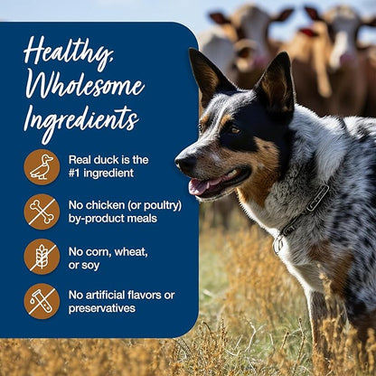 Blue Buffalo Blue's Stew Grain Free Natural Adult Wet Dog Food, Hunter's Stew 12.5 oz cans (Pack of 12)