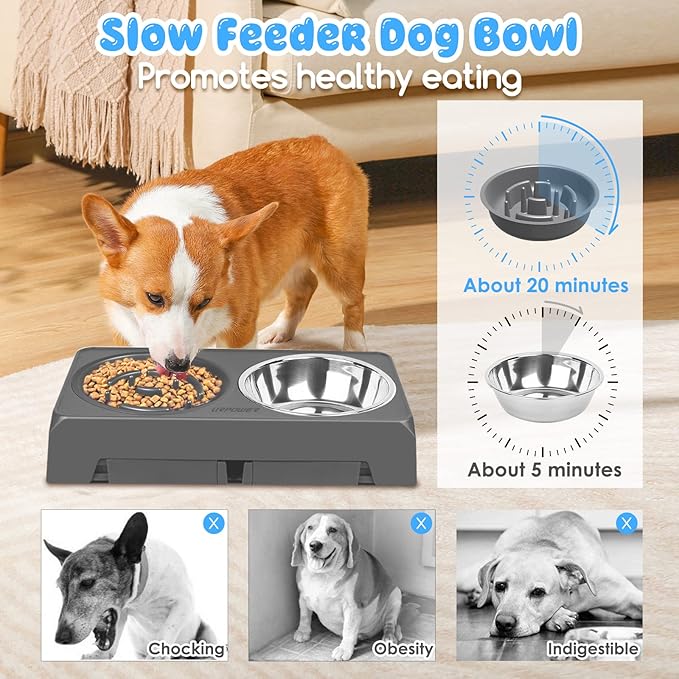 URPOWER Raised Dog Bowls 4 Height Adjustable Elevated Bowl Stand with Stainless Steel Water Bowl Non-Slip Dog Food Bowls Stand for Small Medium Large Dogs and Pets