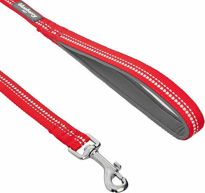 Blueberry Pet 3M Reflective Pastel Color Dog Leash with Soft & Comfortable Handle, 5 ft x 5/8", Red, Small, Leashes for Dogs