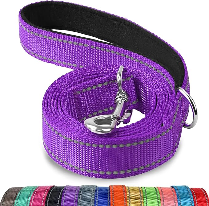 Joytale Dog Leash, 5 FT Double-Sided Reflective, Padded Handle Nylon Heavy Duty Leashes for Small Dogs Walking, Purple