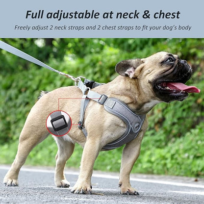 Dog Harness with Leash Set, Reflective Strips Adjustable Step in with Breathable Padded Vest Harness for Small Large Dogs Training and Running (S, Gray)