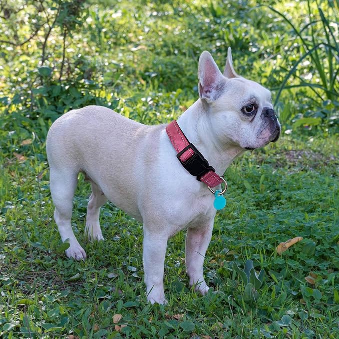 Ladoogo Reflective Dog Collar Padded with Soft Neoprene Breathable Adjustable Nylon Dog Collars for Small Medium Large Dogs (Small (Pack of 1), Pink Collar+Leash)