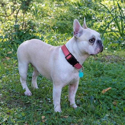 Ladoogo Reflective Dog Collar Padded with Soft Neoprene Breathable Adjustable Nylon Dog Collars for Small Medium Large Dogs (Medium (Pack of 1), Pink Collar+Leash)