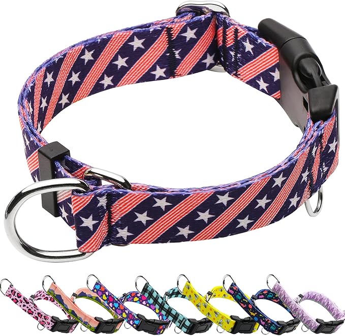 American Flag Martingale Collar for Dogs with Buckle 4th of July No Pull Adjustable Nylon Limited Slip Training Dog Collars (Navy Blue Flag, Medium)