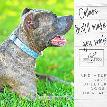 Lucky Love Dog Martingale Dog Collar & Leash - Adjustable, No-Slip, Durable, Comfortable, Soft Webbing, & Stylish Patterned Collar & Leash Set for Male and Female Dogs - Winterblue Combo, Small