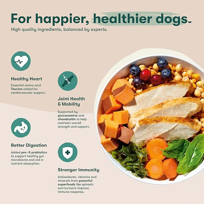 Jinx Premium Senior Dog Food Dry - Real Chicken, Brown Rice & Sweet Potato Kibble with Antioxidants for Immune Support & Whole Grains for Digestive Support - No Fillers - 4lb