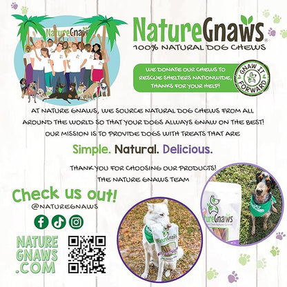 Nature Gnaws Beef Trachea Crunch Wraps for Dogs (3 Count) - Long Lasting Natural Beef Jerky Dog Chew Bones - Rawhide Free
