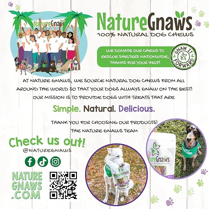 Nature Gnaws Extra Large Bully Sticks for Dogs 11-12" (3 Count) - Thick Long Lasting for Aggressive Chewers and Heavy Chewers - Natural Beef Dog Chew Bones