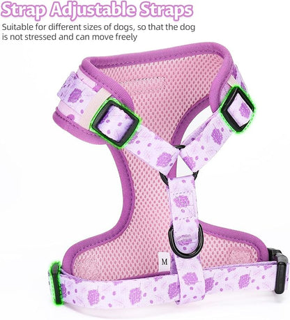 Dog Harness and Leash Set, Adjustable Dog Harness, Dog Leash, No Pull No Choke Puppy Harnesses for Walking Training for Small Medium Pet (Wines, L(Chest 18.5-27.1", Neck 14.5-20.1"))