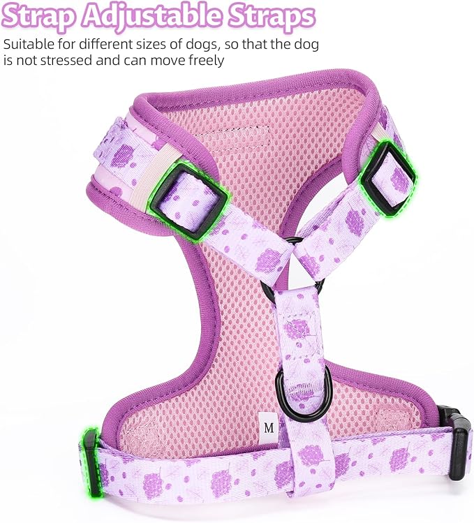 Dog Harness and Leash Set, Adjustable Dog Harness, Dog Leash, No Pull No Choke Puppy Harnesses for Walking Training for Small Medium Pet (Wines, M(Chest 15.7-22.1", Neck 12-15"))