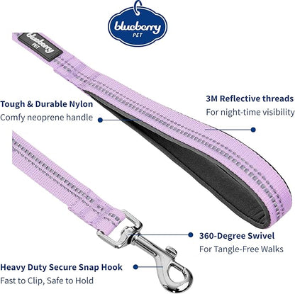 Blueberry Pet 3M Reflective Pastel Color Dog Leash with Soft & Comfortable Handle, 5 ft x 3/4", Lavender, Medium, Leashes for Dogs