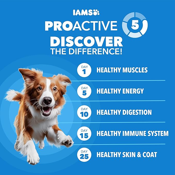 IAMS Proactive Health, Dry Dog Food, Adult Dog Food Dry Recipe for Healthy Weight, with Chicken, 29.1 Lb. Bag