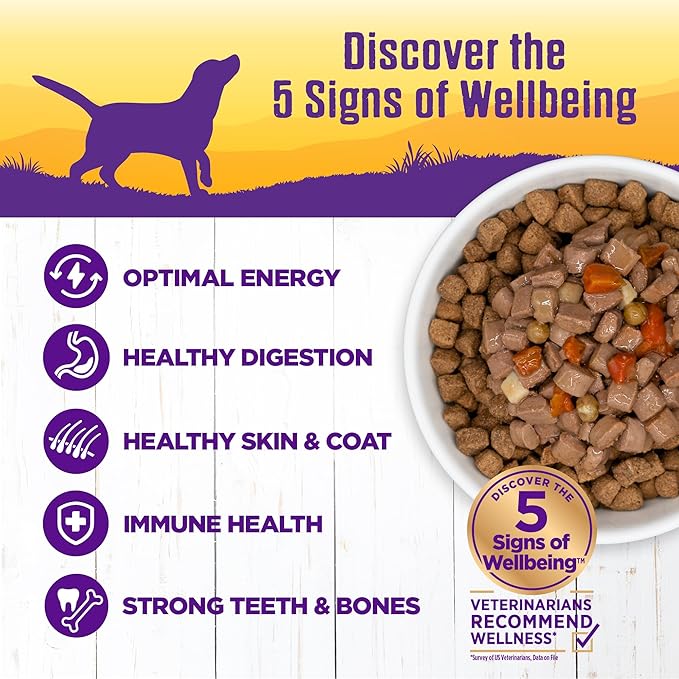 Wellness Complete Health Stew Adult Canned Wet Dog Food, Grain Free, Natural, Beef Recipe, 12.5 oz, Pack of 12 Cans