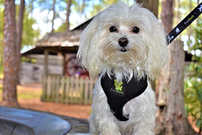 EcoBark Dog Leash - Soft & Reflective Comfort Leashes with Padded Handle - Safe, Strong, & Durable for Small, Medium or Large Dogs (Black)