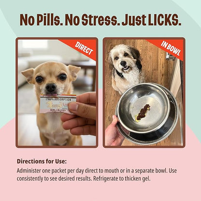 Licks Pill-Free Small Breed Dog Skin and Allergy - Omega 3 Dog Allergy Relief - Dog Vitamins & Supplements for Itch Relief - Turmeric Supplement for Dog Skin - Gel Packets - 30 Use