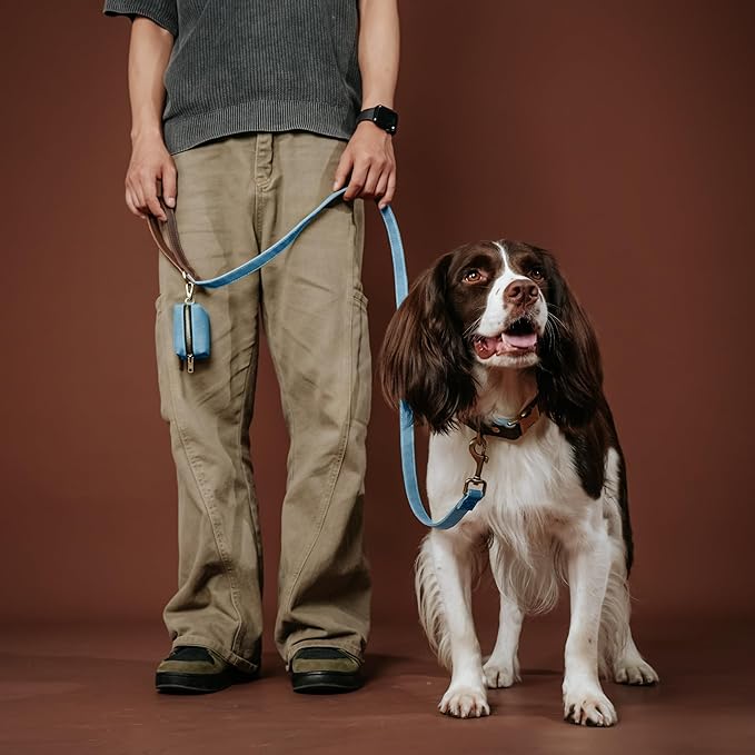 Didog PU Leather Dog Leash for Small Dogs 4.5ft, Soft Padded Handle Faux Leather Dog Leashes for Medium Dogs, Walking and Training Leashes for Large Dogs,Denim Blue