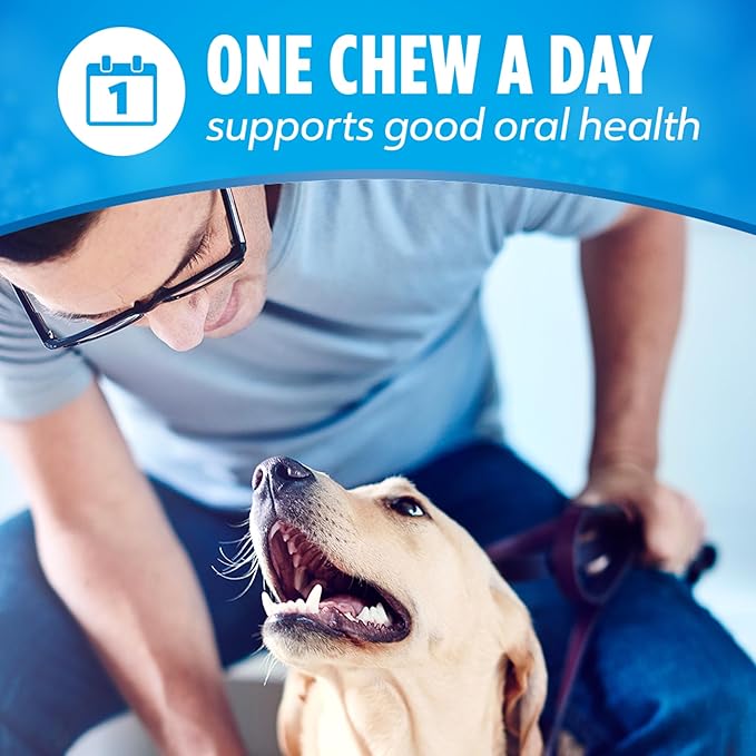 Dentalife Daily Oral Care Dog Treats for Small Dogs 5-20 lbs.,Chewy Dental Treat to Freshen Breath and Fight Tartar,Chicken Flavor,14.7 oz. Each,90 Chews - 2 x 45 ct. Pouch, 90 Count(Pack of 2)