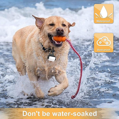Dog Lights for Night Walking, Clip on Dog Collar Light - 3 Modes, USB-C Rechargeable, IP65 Waterproof, LED Safety Light for Running, Camping, Climbing, Bike