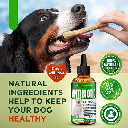 Dog Antibiotics for Infections, Cough, & Itching | Natural Antibiotics for Dogs for All Ages to Promote Wound Healing | Dog UTI Treatment and Tooth Infection Treatment | Chicken Flavor | 2 Oz