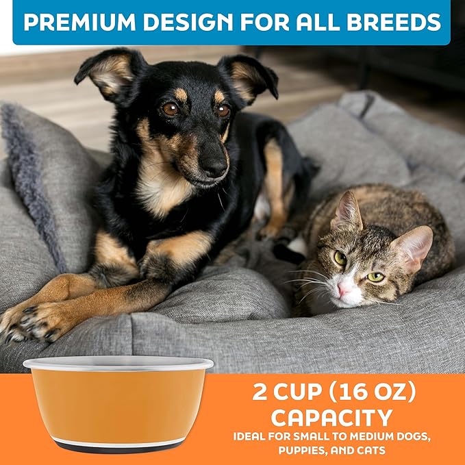 Master Pet Supply Stainless Steel Dog Bowls Set of 2 (16 Oz Each) with Non-Slip Rubber Base - Mango Tango - Basic Dog Food Bowl Water & Food Bowls for Small Medium Large Dogs & Cats, Metal Dish